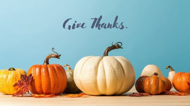 Happy Thanksgiving! We are very grateful and blessed for each and every one of our patients.  Just a reminder that our office will be closed today and tomorrow. We will reopen Monday, December 2nd.